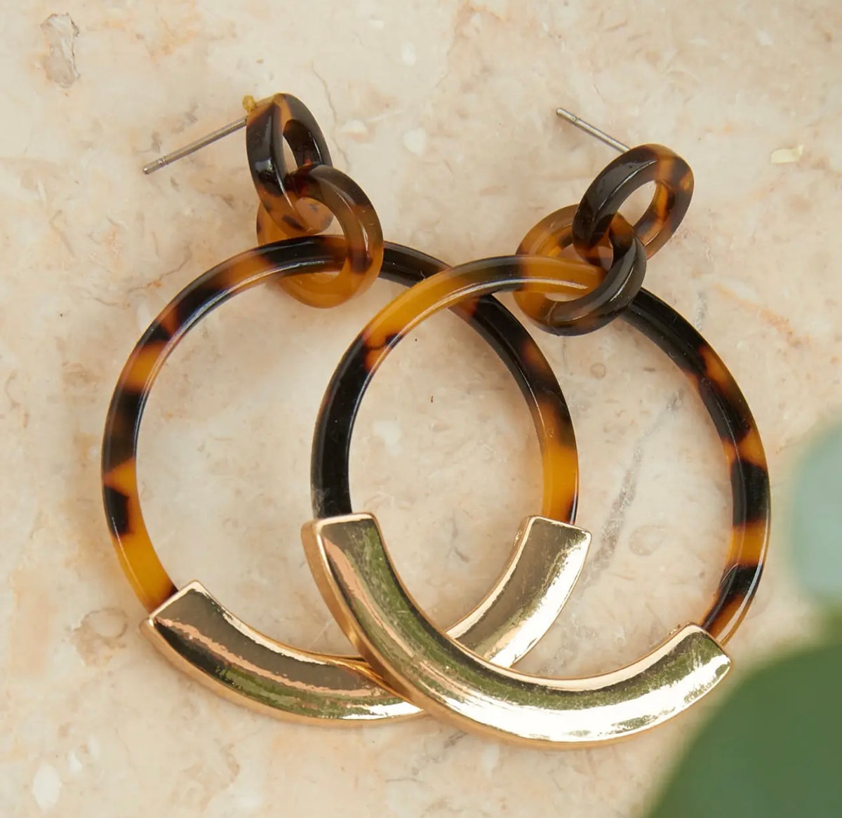Tortoise Hoops