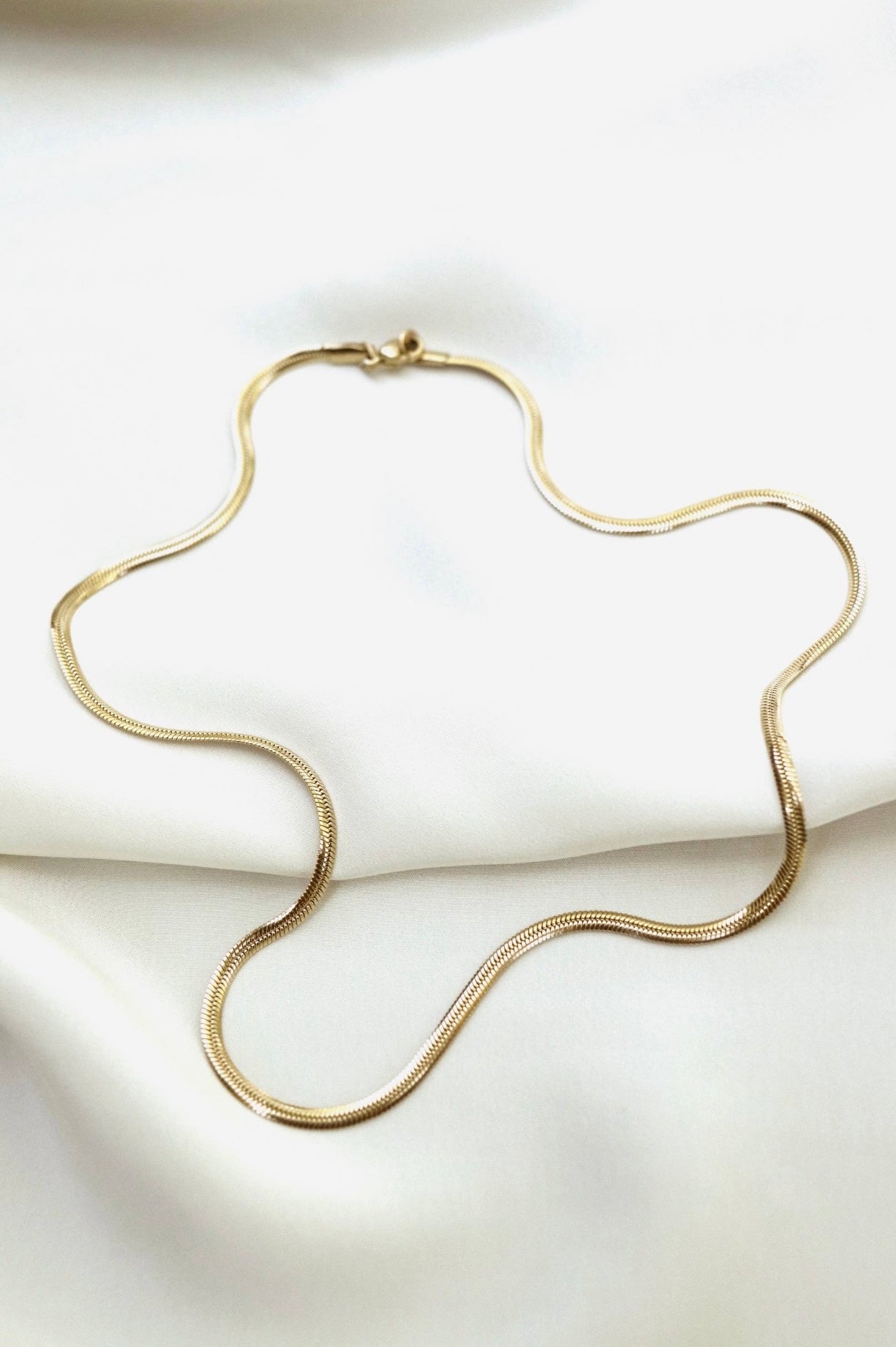 Flat Snake Chain Necklace
