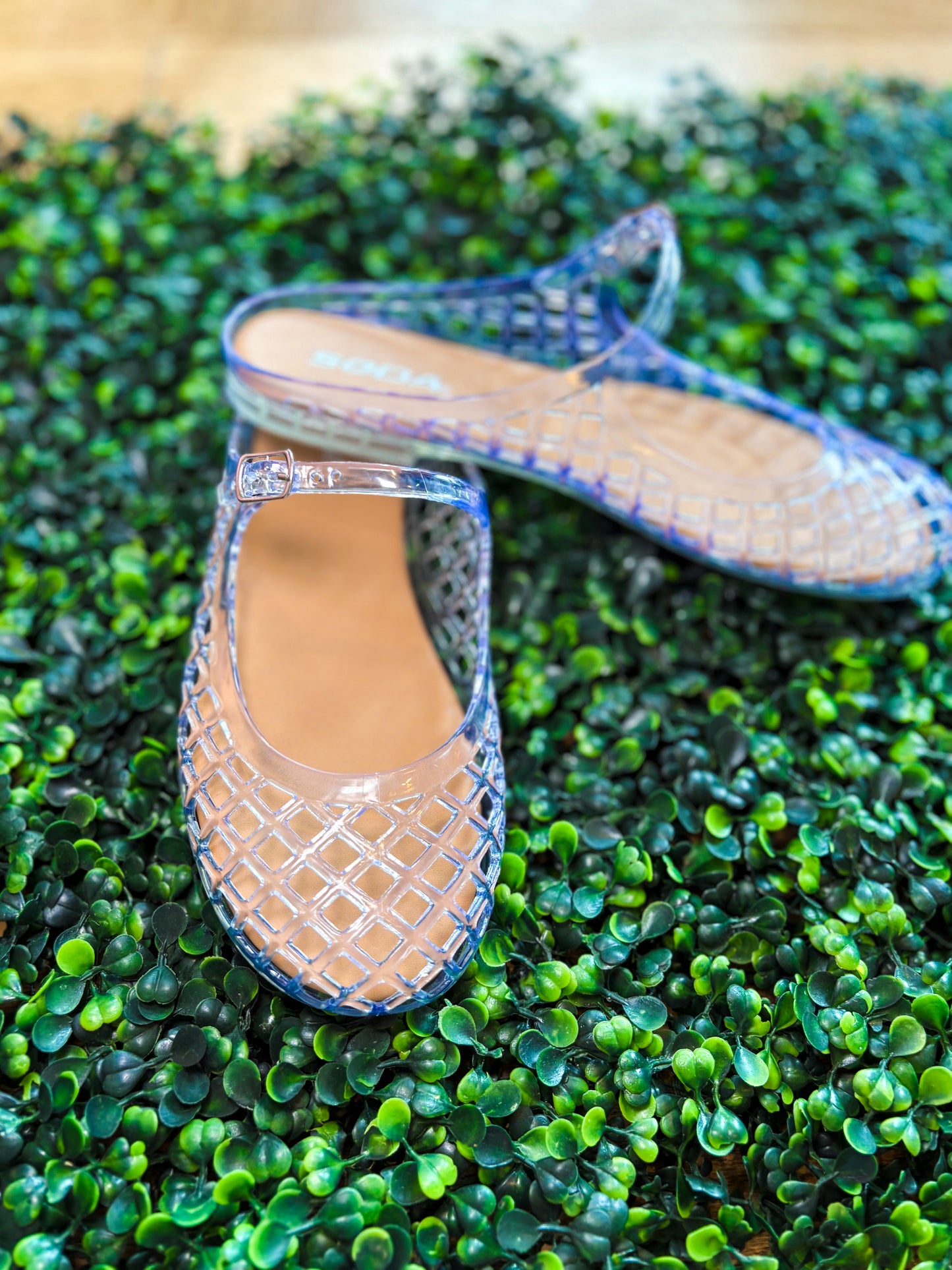 The Modern Muse Clear Jelly