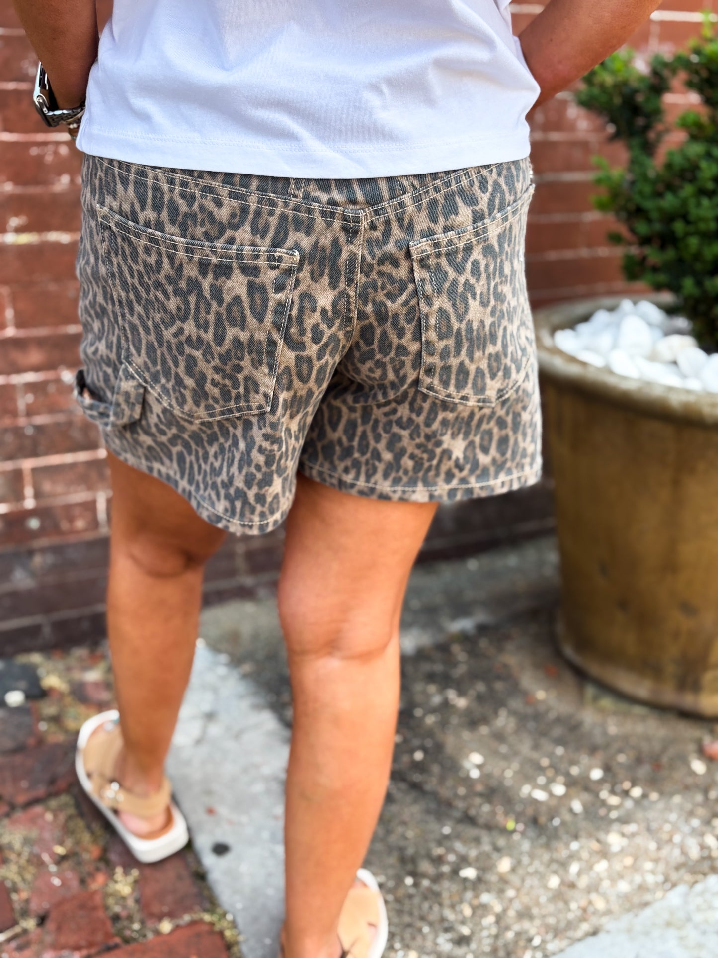 Leopard Luxe Shorts